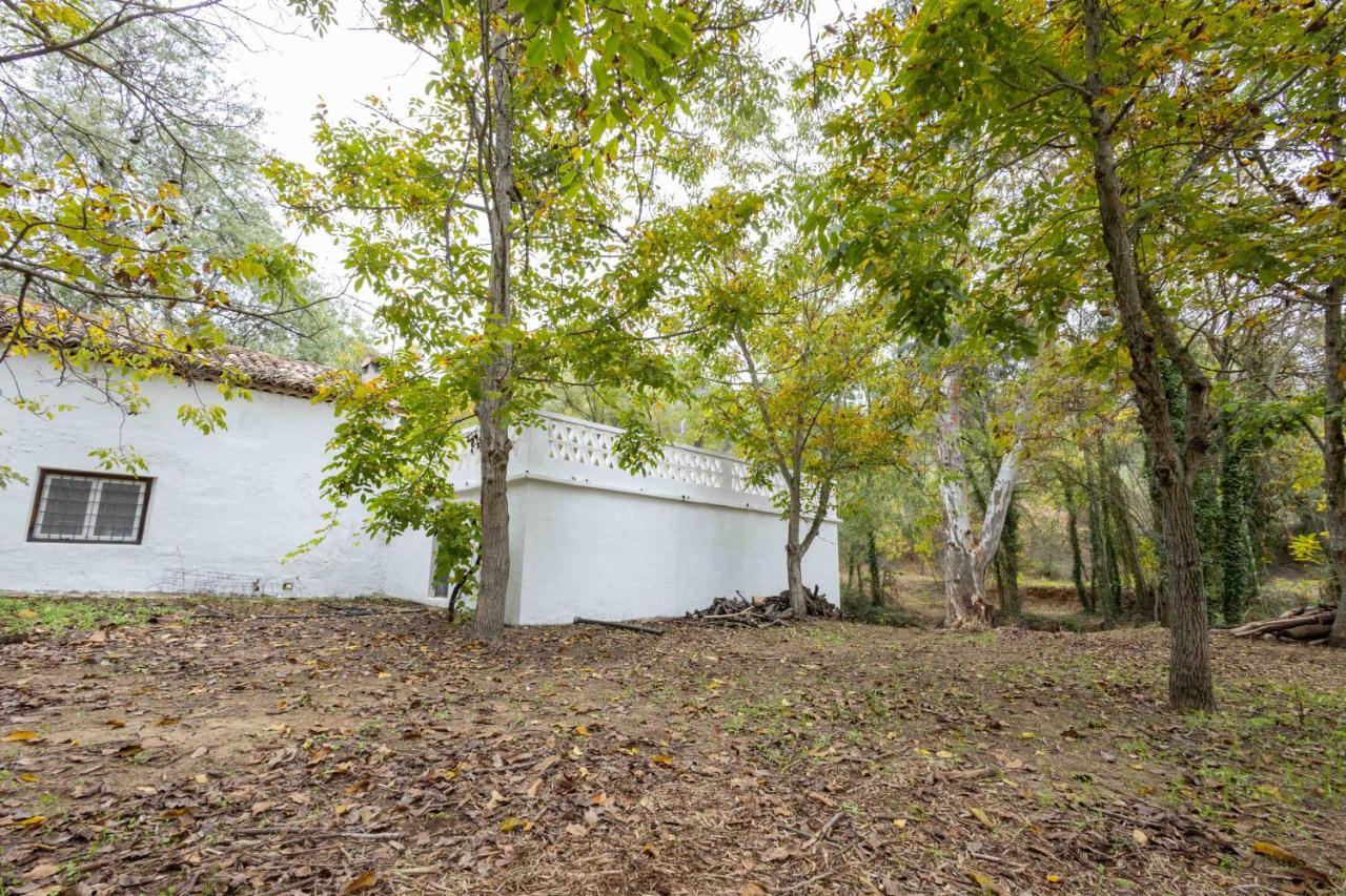 Vila Molino De Gris Cazorla Chilluevar Exteriér fotografie